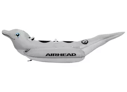 Airhead Dolphin 2 Person Towable Tube